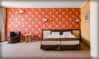 Отель Alliance Hotel Пловдив Standard Single Room - Free Parking-2