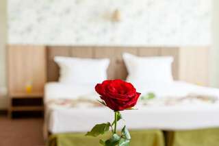 Отель Alliance Hotel Пловдив Economy Single Room - Free Parking-10